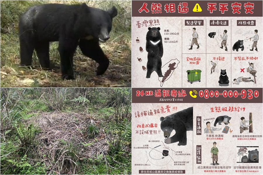 影音/山友請注意！ 棲蘭山100線林道有熊