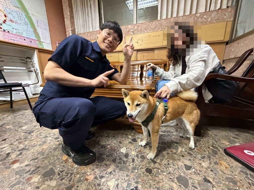 求收編？柴柴「偷逃家」主動上陌生車賣萌　真相曝光