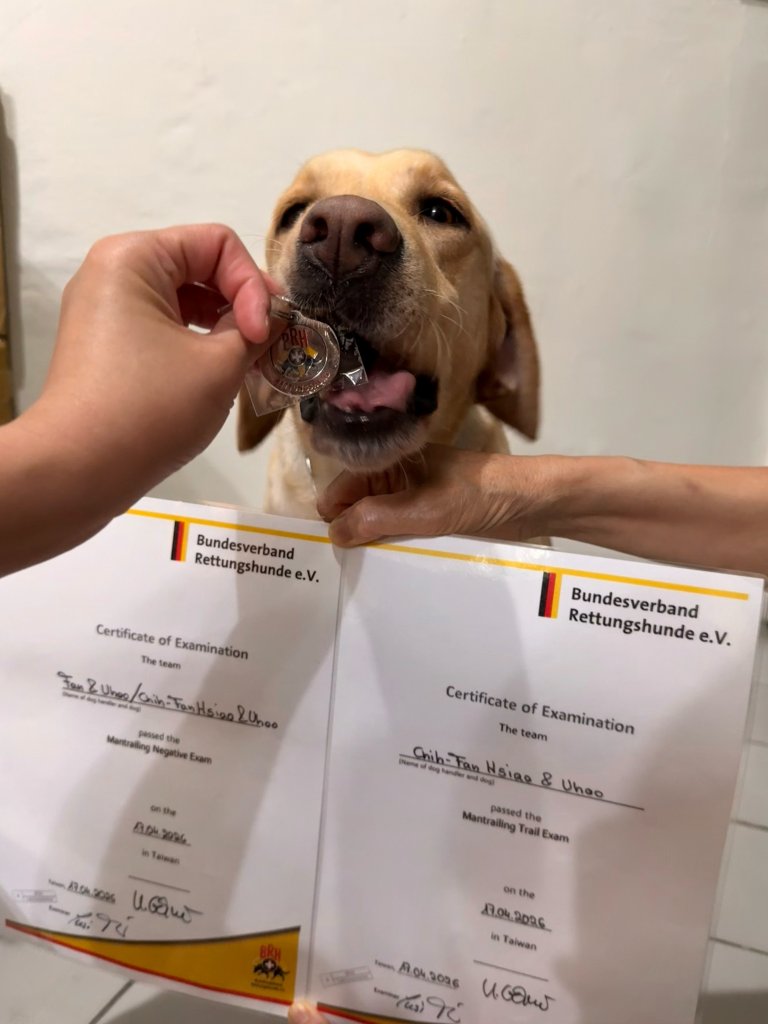 全台僅兩隻！　台中市警犬Uhoo通過高級路徑追蹤考試