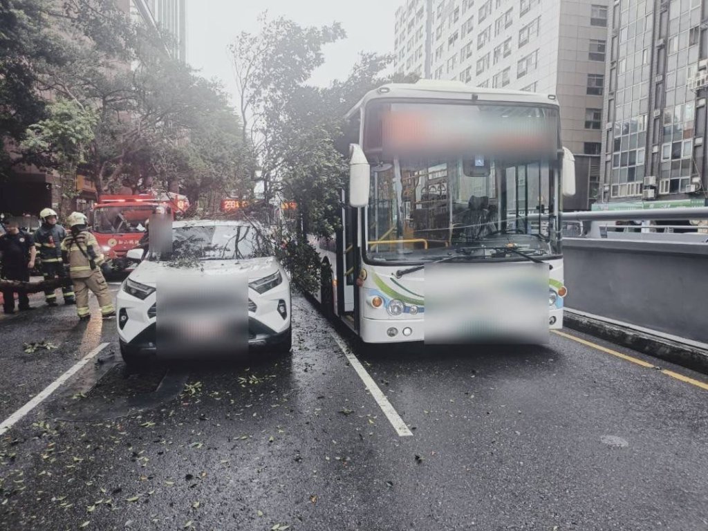影／北市大貨車撞斷路樹肇逃！公車、小客車無辜遭砸